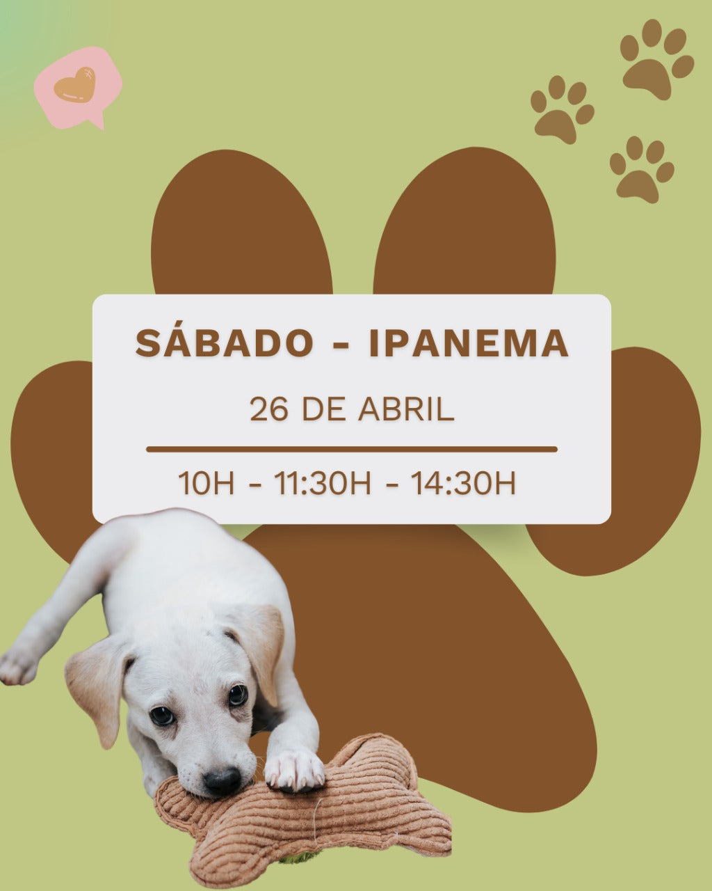 Puppy Yoga & Drink 26 de abril de 2025 - IPANEMA