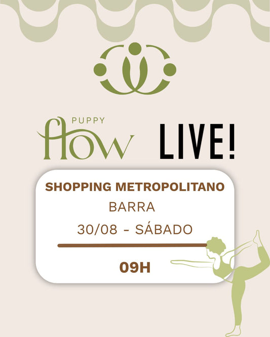 Aula de Yoga + LIVE! Shopping Metropolitano RJ